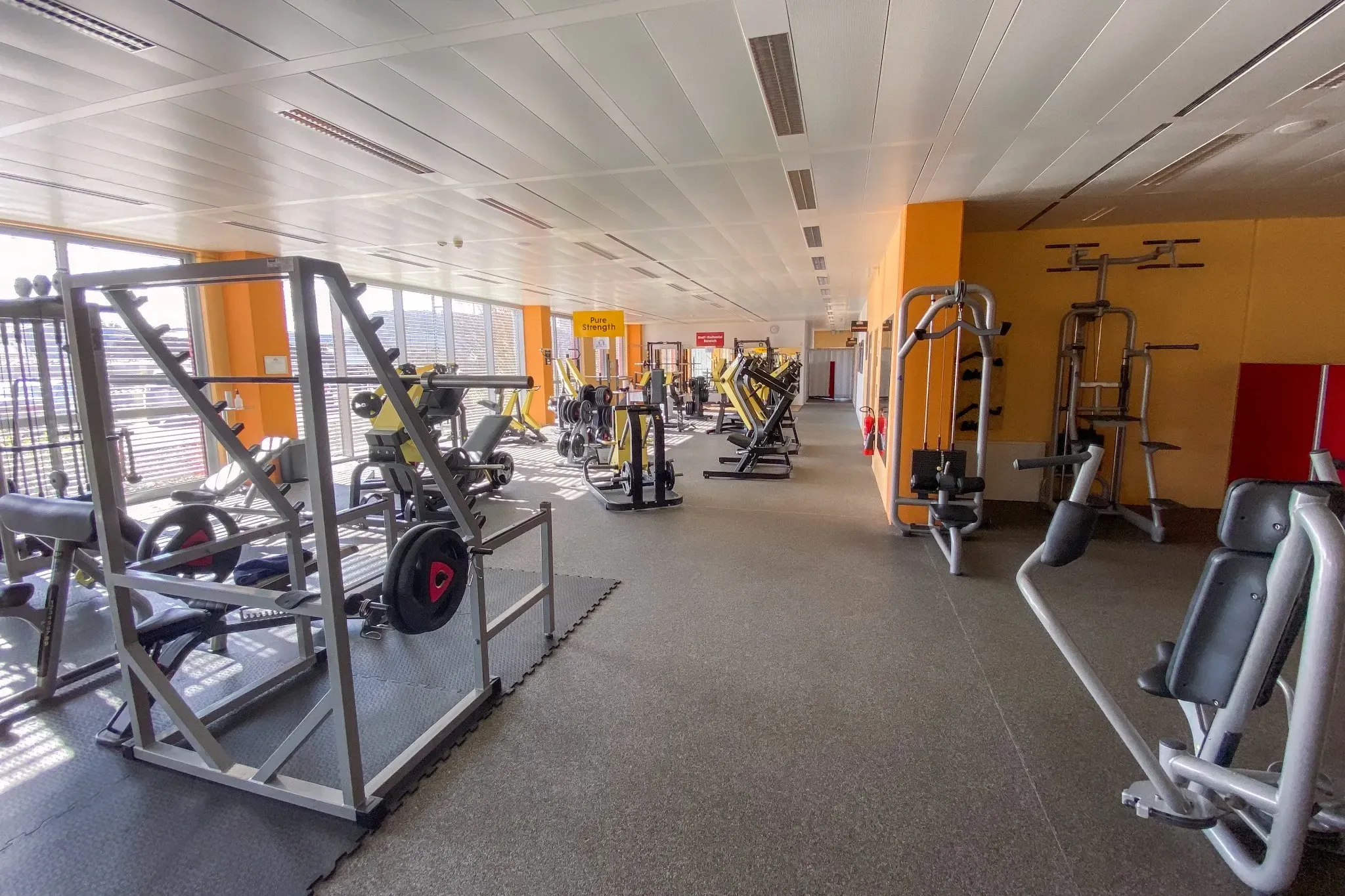 HappyFit Perl-Besch Studio